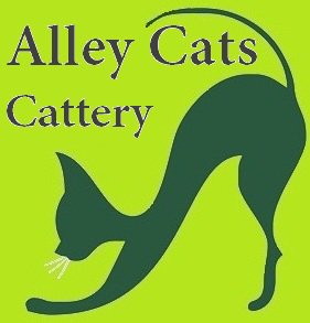 alley cats cattery