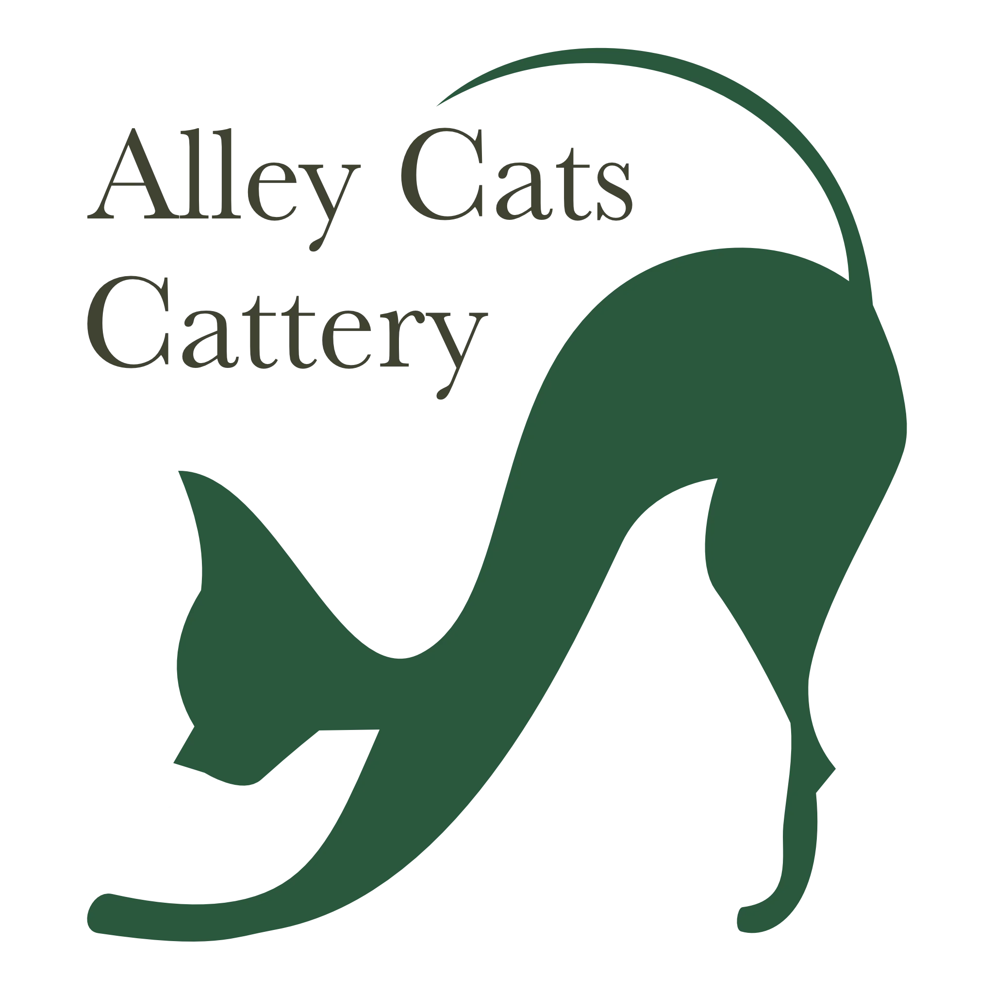 alleycatscattery